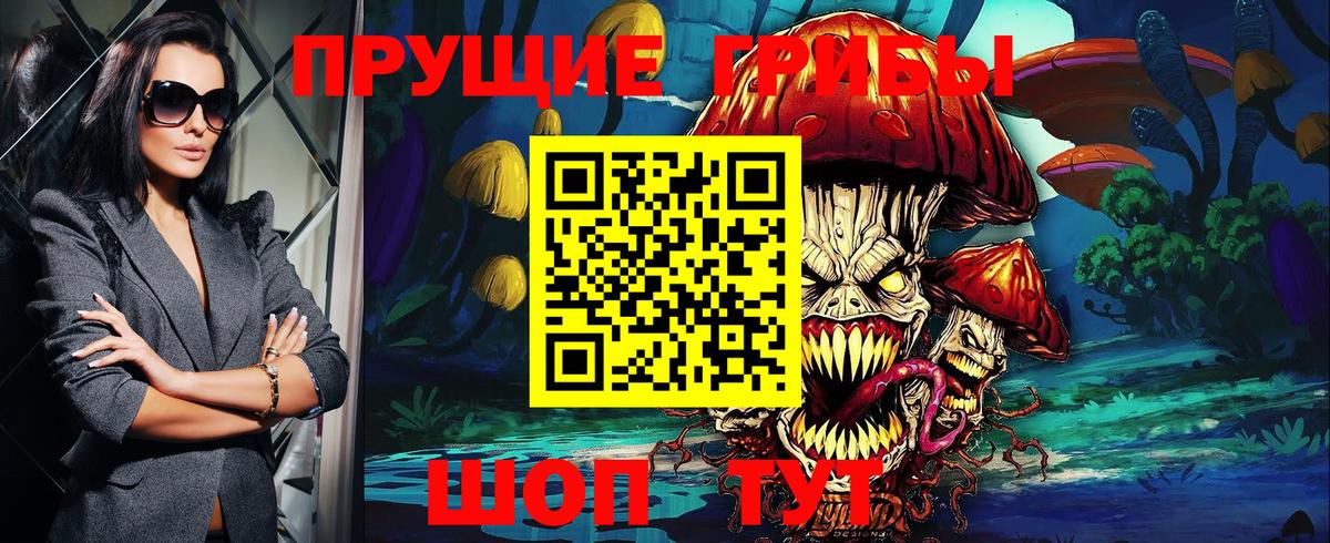 Псилоцибиновые грибы мухоморы  Вход с VPN  купить закладку  Псилоцибиновые грибы MAGIC MUSHROOMS  Черняховск 