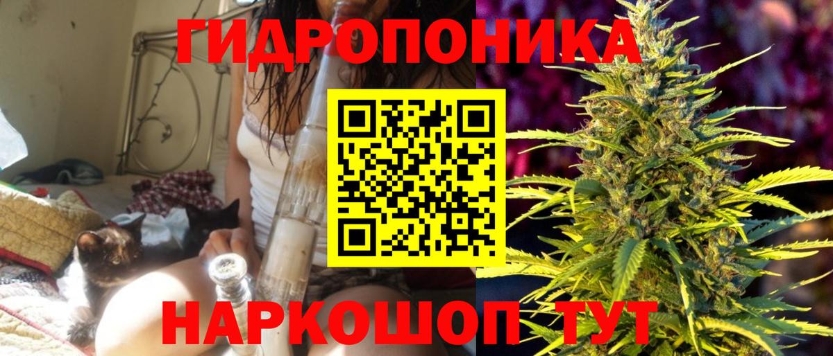 Бошки марихуана планчик Черняховск